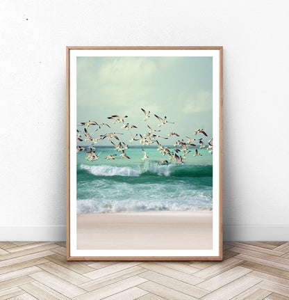 Seagulls on Waves of the Ocean