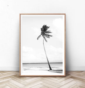 Black And White Palm Wall Art