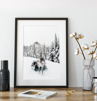 Christmas Decoration Gallery Set of 3 Piece Wall Art