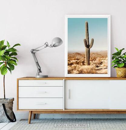 Boho Grand Canyon Desert Set of 3 Piece Wall Art