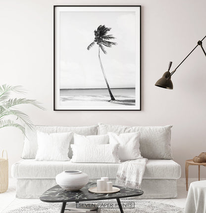 Black and White Coastal Set of 3 Prints
